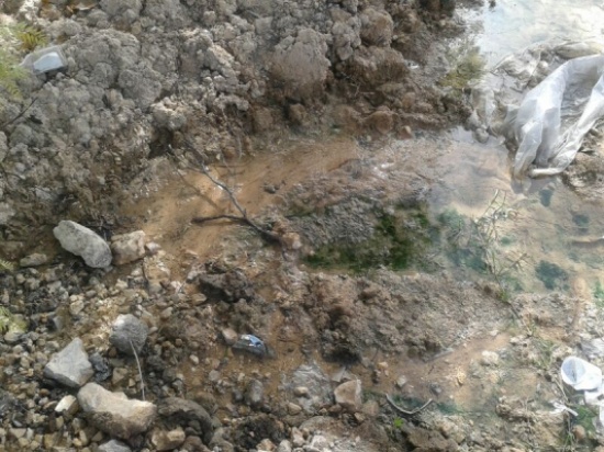 بالصور .. مياه مهدوره في شفا بدران