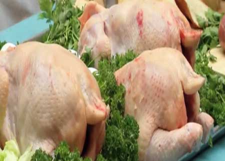 الدجاج الغريب