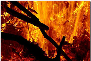 النيران تأتي على 20 دونم قصب في وادي شعيب