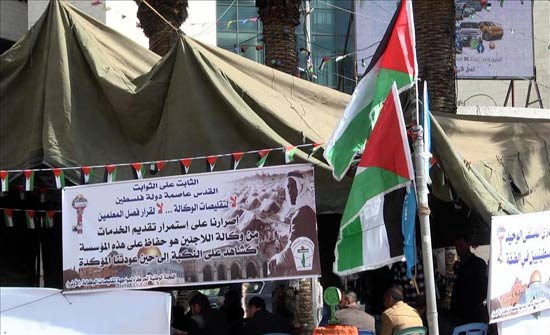 158 معلما فلسطينيا على قارعة الطريق بعد فصلهم من مدارس "أونروا" 158 معلما فلسطينيا على قارعة الطريق بعد فصلهم من مدارس "أونروا"