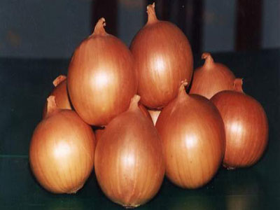 مزارعون يهددون بالاعتصام اذا لم يتم وقف استيراد البصل 