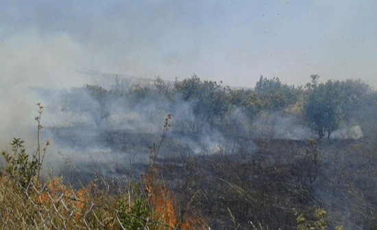 اخماد حريق 10 دونمات من الأعشاب جافة في اربد