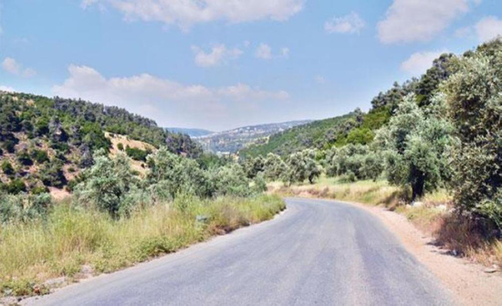 محاضرة تعريفية عن وادي الطواحين