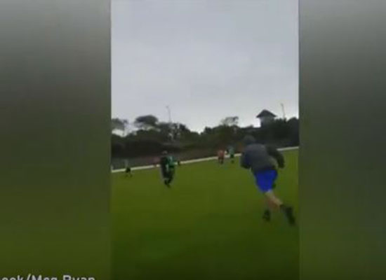 بالفيديو: حكم يتعرض لهجوم من متفرج أثناء مباراة كرة قدم