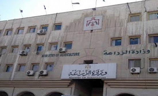 الزراعة تدعم حماية المنتج الزراعي المحلي