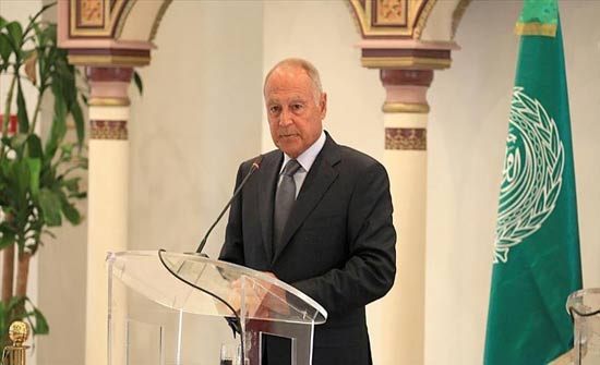 أبو الغيط: القمة العربية بالرياض في 15 أبريل