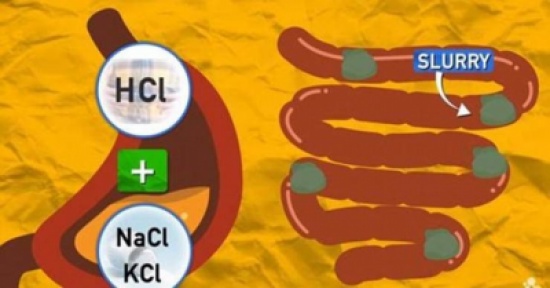 فيديو| هذا ما يحدث إذا ابتلعت علكة! فيديو| هذا ما يحدث إذا ابتلعت علكة!