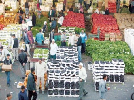 2198 طن خضار وفواكه ترد للسوق المركزي اليوم 2198 طن خضار وفواكه ترد للسوق المركزي اليوم
