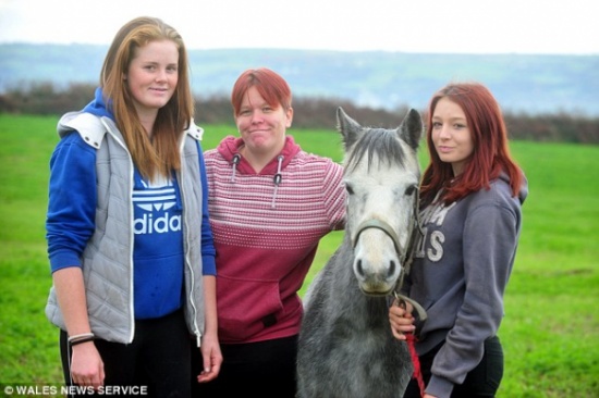 شاهد.. .فتاة تعذب حصانا بالسوط