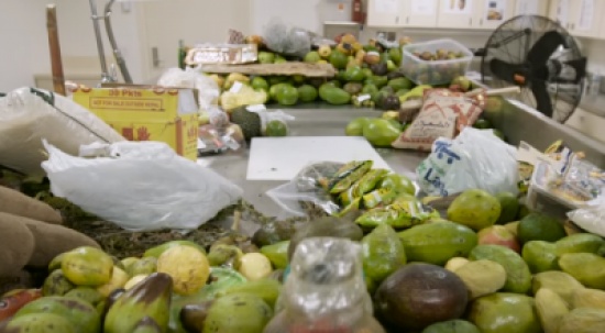 شاهد.. كيف يتم التعامل مع الأطعمة المصادرة في المطارات ؟