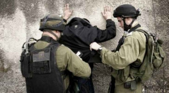 الاحتلال يعتقل 16 فلسطينيا الاحتلال يعتقل 16 فلسطينيا
