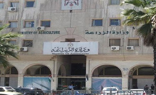 لجنة زراعة مجلس الكرك تزور المشاريع المائية والزراعية بالعقبة لجنة زراعة مجلس الكرك تزور المشاريع المائية والزراعية بالعقبة