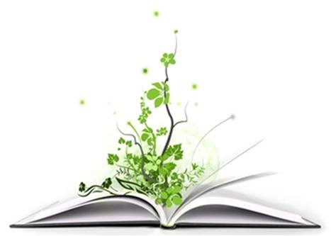 دعوة لمحو الامية البيئية والتغيرات المناخية وتضمين منهاج بيئي في المدارس