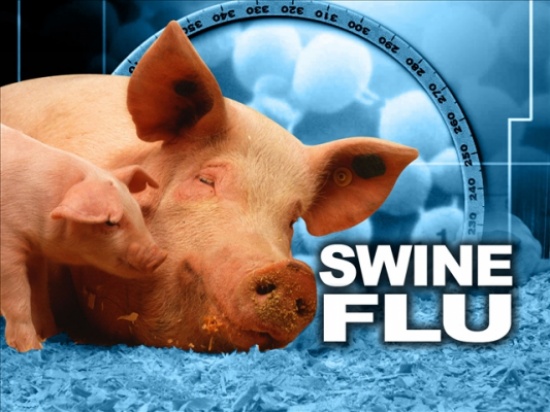 صحة البلقاء : الاصابات بانفلونزا H1N1 ضمن المعدل صحة البلقاء : الاصابات بانفلونزا H1N1 ضمن المعدل