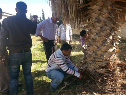 يوم تطوعي في كلية الزراعة بجامعة مؤتة