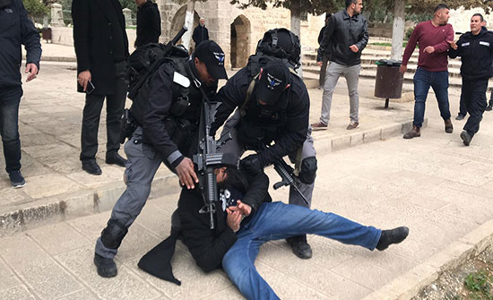 بالفيديو : شبان مقدسيون يحاولون فتح باب الرحمة، والاحتلال يعتقل عدد منهم بعد وقوع اشتباكات بالفيديو : شبان مقدسيون يحاولون فتح باب الرحمة، والاحتلال يعتقل عدد منهم بعد وقوع اشتباكات