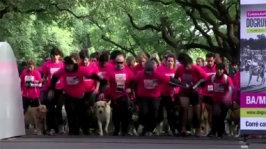 الكلاب تهوى الرياضة أيضا