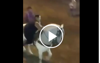 حصان ينتقم من فتاة بدينة أثقلته بوزنها (فيديو)