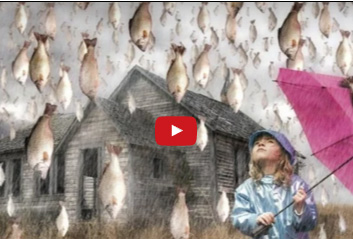 بالفيديو  : أغرب 10 أشياء سقطت من السماء