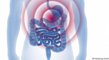 أطعمة مفيدة لجهاز الهضم تجعله بحالة ممتازة أطعمة مفيدة لجهاز الهضم تجعله بحالة ممتازة