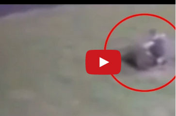 غطاء صرف صحي يتحول من سبب مأساة إلى وسيلة انقاذ طفل