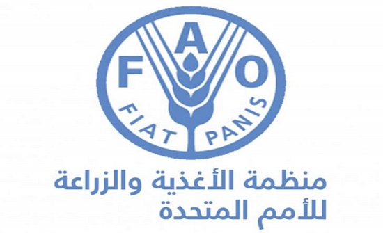 "الفاو" تعلن عن مبادرة مرفق الغابات والمزارع "الفاو" تعلن عن مبادرة مرفق الغابات والمزارع