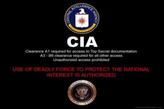CIA تستجوب سلفيين في سجون القوات الفرنسية بمالي CIA تستجوب سلفيين في سجون القوات الفرنسية بمالي