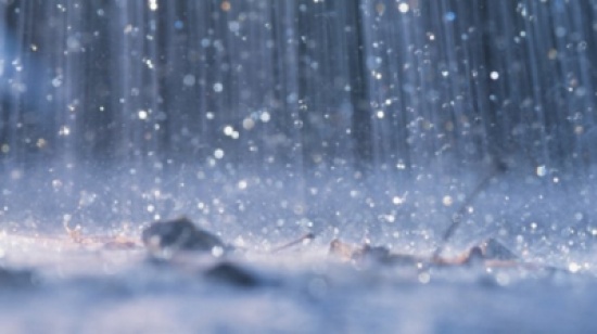 متخصصون يؤكدون اهمية البحث العلمي بانتاج نباتات تتحمل تدني معدلات هطول الامطار