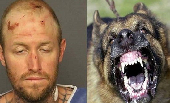 اتهام أميركي بـ"عض" كلب بوليسي