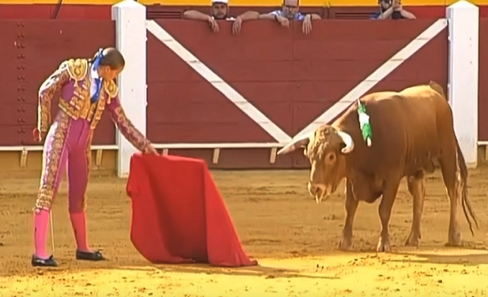 بالفيديو: ثور يهزم مصارعه بتقنية عبقرية