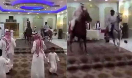 بالفيديو: استعراض بالخيول داخل قاعة أفراح كاد ان يتسبب بفوضى