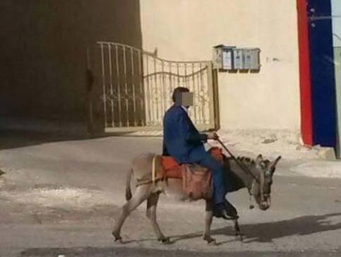 بالصور : " شاب انيق " يركب حماراً في عمان كوسيلة نقل مجانية بالصور : " شاب انيق " يركب حماراً في عمان كوسيلة نقل مجانية
