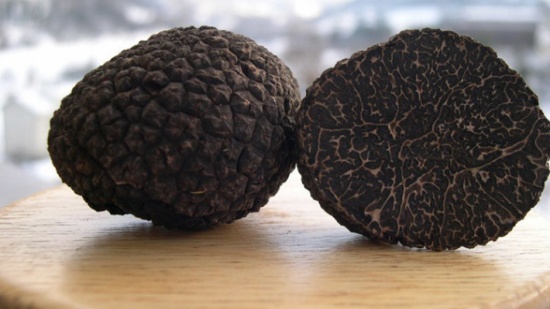 الفطر (الكمأة ) يحتوي على مواد تؤثر على الدماغ