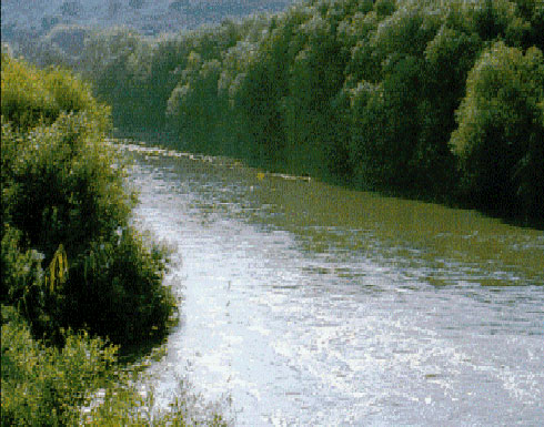 تم اختيار محمية الموجب ومنطقة حوض نهر اليرموك كمناطق ريادية