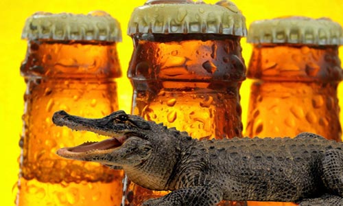 مواطن أمريكي يحاول دفع حسابه ..بتمساح