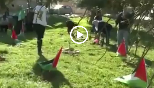 بالفيديو : عيد الحب.. بنكهة فلسطينية بالفيديو : عيد الحب.. بنكهة فلسطينية