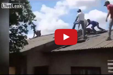 صفائح الزنك الهشة تحسم مطاردة لص