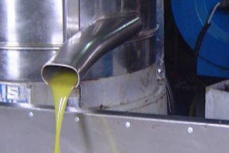 وزير الزراعة يبحث عمل معاصر الزيتون