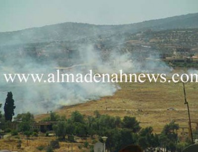 الأغوار الشمالية : اخماد حرائق أتت على 80 دنم الأغوار الشمالية : اخماد حرائق أتت على 80 دنم