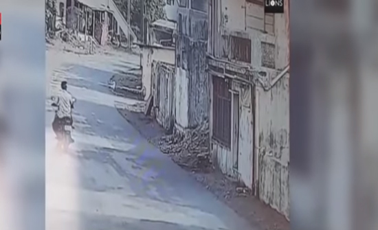 بالفيديو: القرود تنشر الرعب بين السكان في قرية هندية