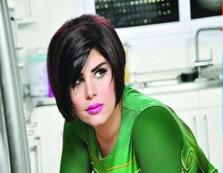 شمس تكشف أنّها خدعت جمهورها