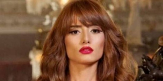 بالفيديو.. إلقاء القبض على زينة