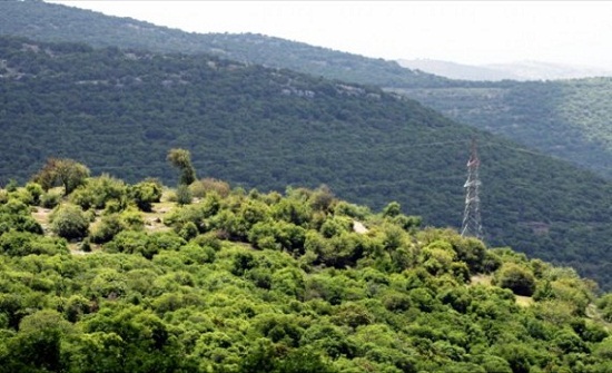 يوم بيئي توعوي في عجلون