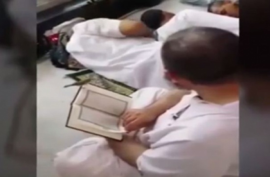 فيديو: عصفور يحط رحاله على مصحف حاج بالحرم فيديو: عصفور يحط رحاله على مصحف حاج بالحرم