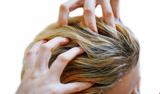 تحذير طبي : انتشار القمل والديدان الشعرية في بعض المدارس المحيطة بالعاصمة عمان