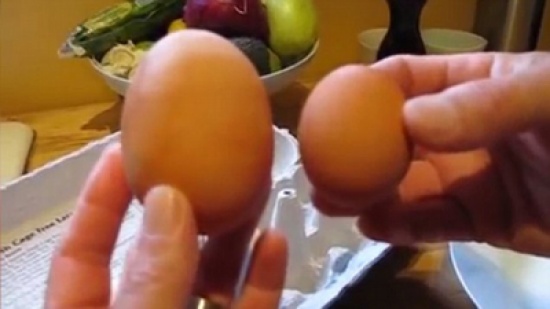 شاهد..  يكسر بيضة ليجد واحدة أخرى بداخلها