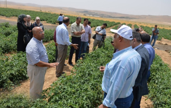الطفيلة التقنية تطلق المرحلة الثانية من مشروع تحسين التربة الزراعية بأستخدام التف الزيولايتي الطفيلة التقنية تطلق المرحلة الثانية من مشروع تحسين التربة الزراعية بأستخدام التف الزيولايتي