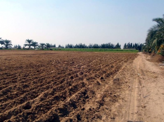 موظف في " الأراضي " يكشف محاولة تزوير بمليون دينار موظف في " الأراضي " يكشف محاولة تزوير بمليون دينار