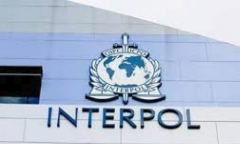 الكوري كيم جونج يانج رئيسا للإنتربول