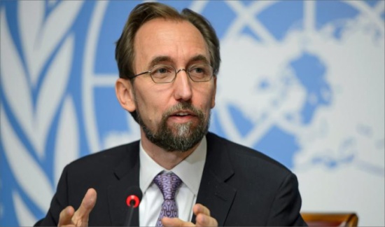 الأمير زيد يطالب بالحد من الفيتو بمجلس الأمن الدولي